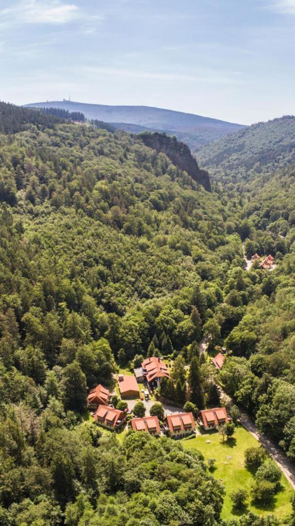 Ferienwohnung Ferienhaeuser Am Brocken, 60 Qm 2 Schlafzimmer Ilsenburg Bagian luar foto